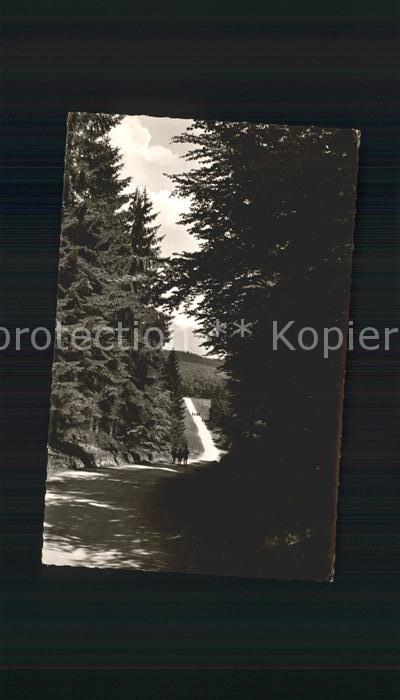 Egge Wanderweg bei Driburg