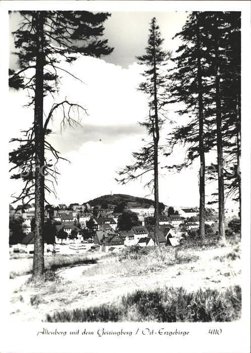 Altenberg Erzgebirge Ortsansicht