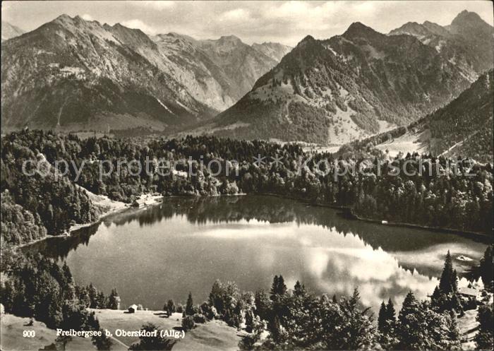 Freibergsee Panorama