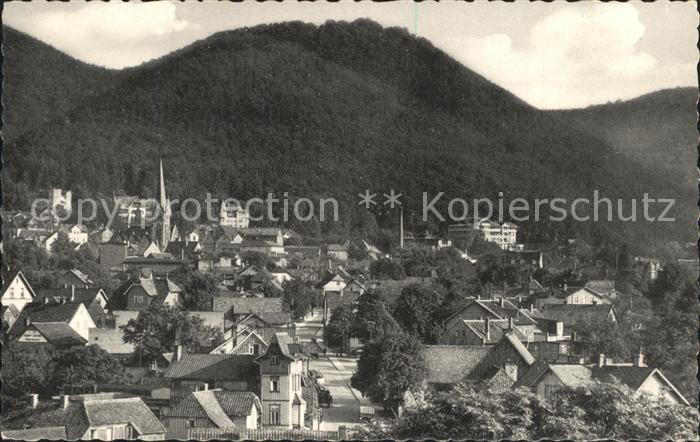 Bad Harzburg mit Burgberg