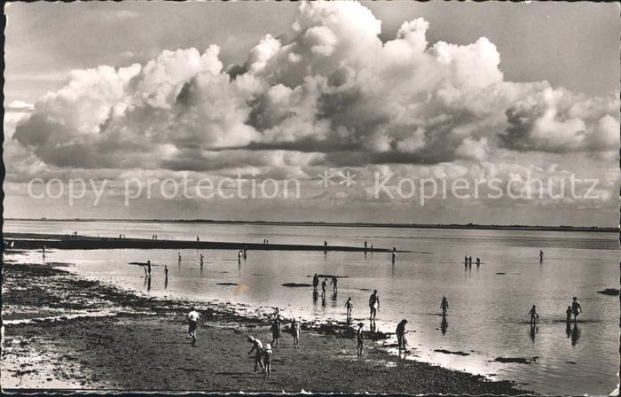 Wyk Foehr Nordseebad Wattenmeer