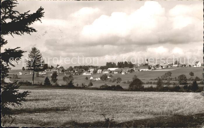 Hoechenschwand Schwarzwald BW Panorama