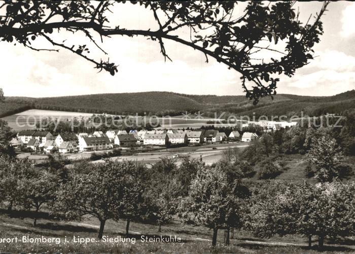 Blomberg Lippe Siedlung Steinkuhle
