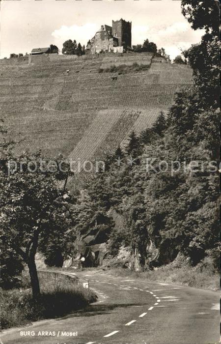 Bullay Mosel Burg Arras