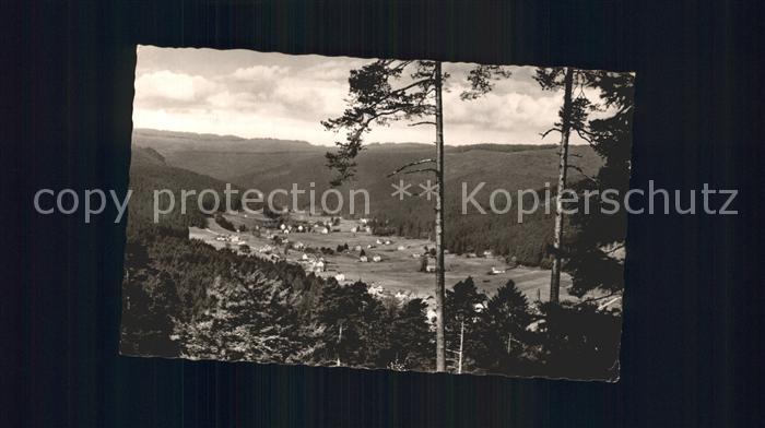 Obertal Baiersbronn Totalansicht