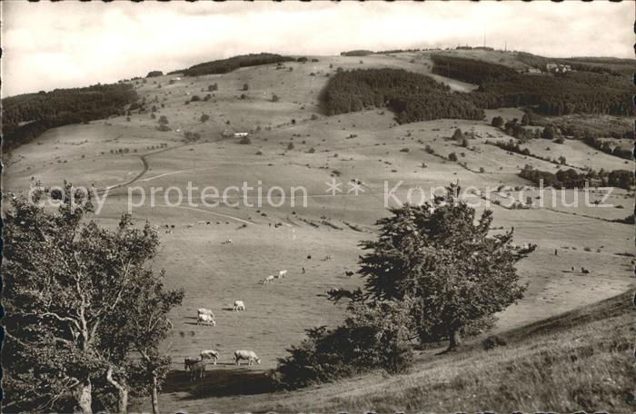 Kreuzberg Rhoen Panorama
