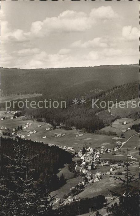 Baiersbronn Schwarzwald Totalansicht