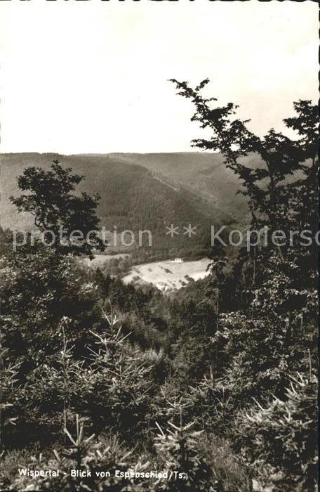 Wispertal Blick von Espenschied