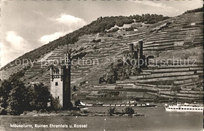 Bingen Rhein Maeuseturm Ruinen Ehrenfels und Rossel