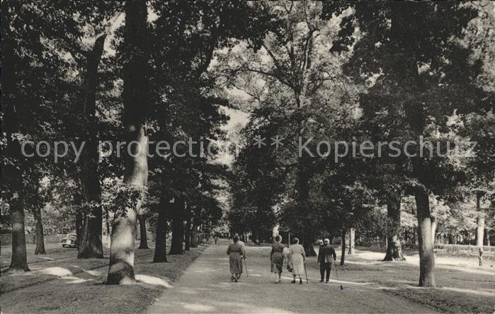 Arolsen Bad Grosse Allee