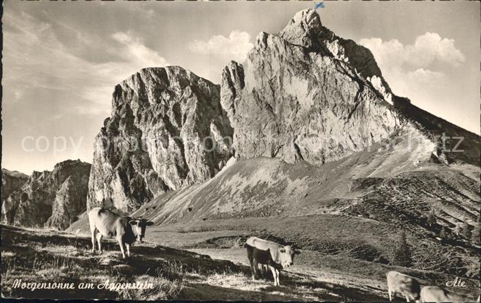 Aggenstein Gipfelblick