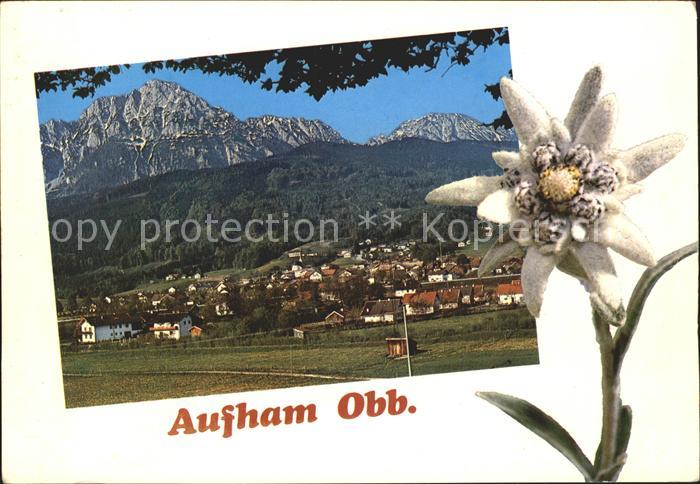 Aufham Anger mit Hochstaufen und Zwiesel