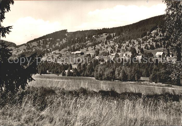 Blasiwald Teilansicht