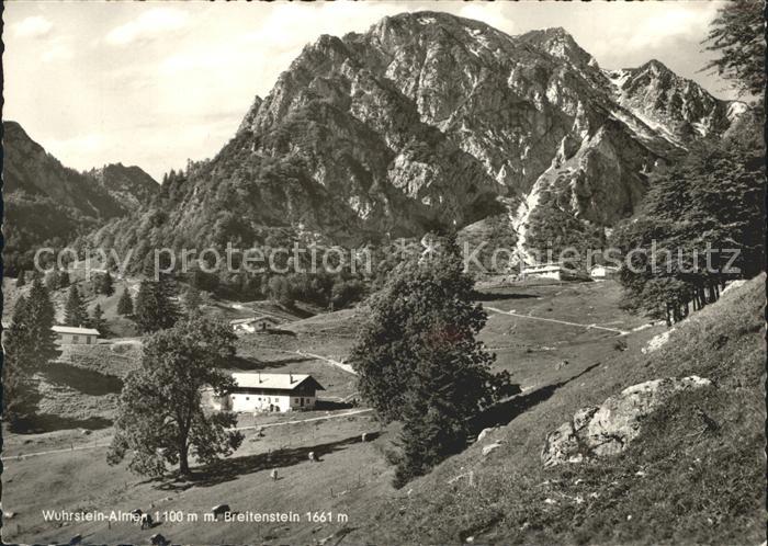 Prien Chiemsee Wuhrstein Almen mit Breitenstein