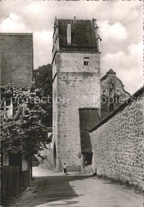 Dinkelsbuehl Noerdlinger Tor mit Storch
