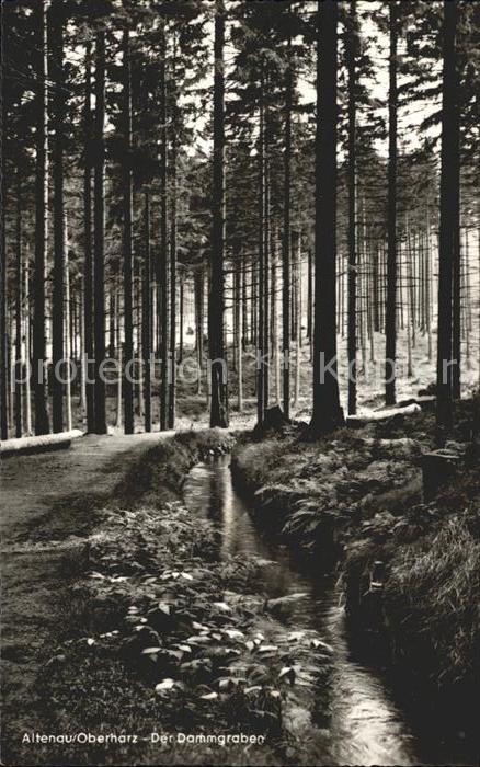 Altenau Harz Der Dammgraben