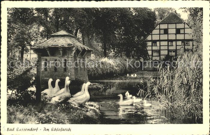 Bad Sassendorf Schlossteich Gaense