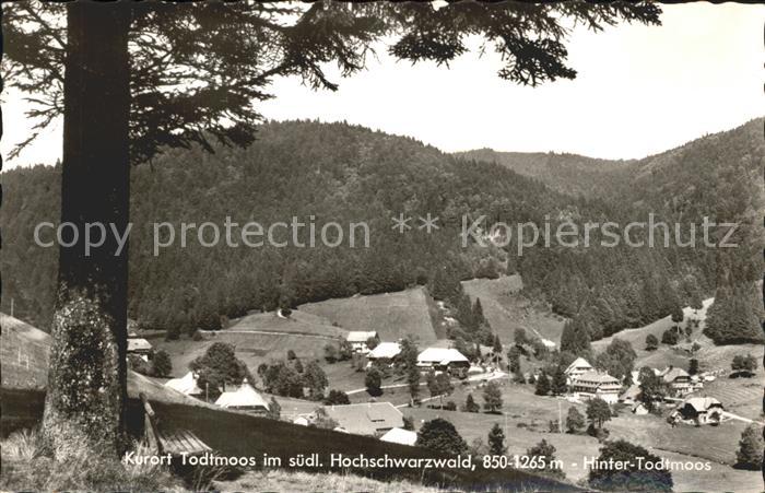 Todtmoos Schwarzwald BW Blick auf Hinter Todtmoos Schwarzwald