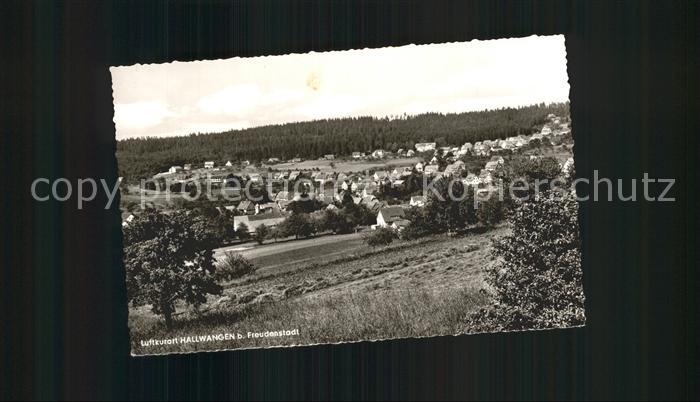 Hallwangen Gesamtansicht Luftkurort