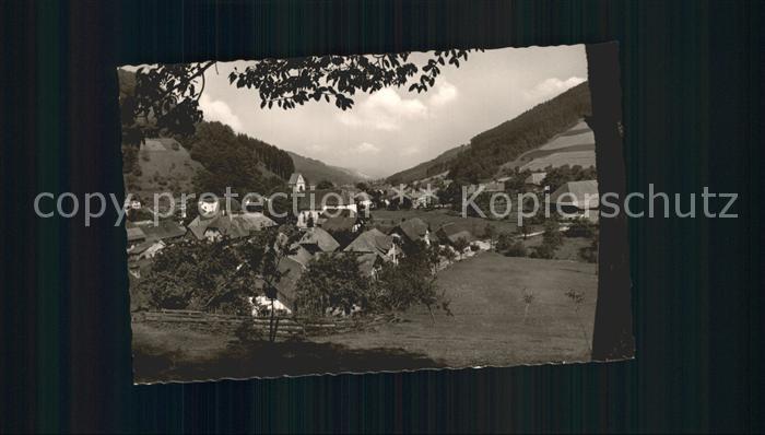 Muehlenbach Baden Panorama Kinzigtal