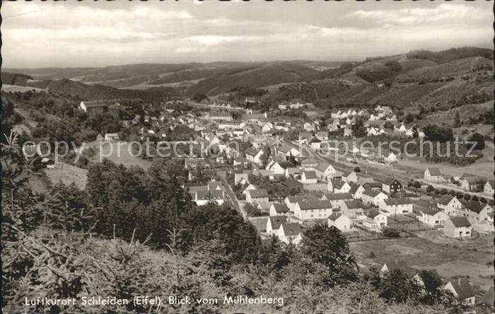 Schleiden Eifel Panorama Blick vom Muehlenberg