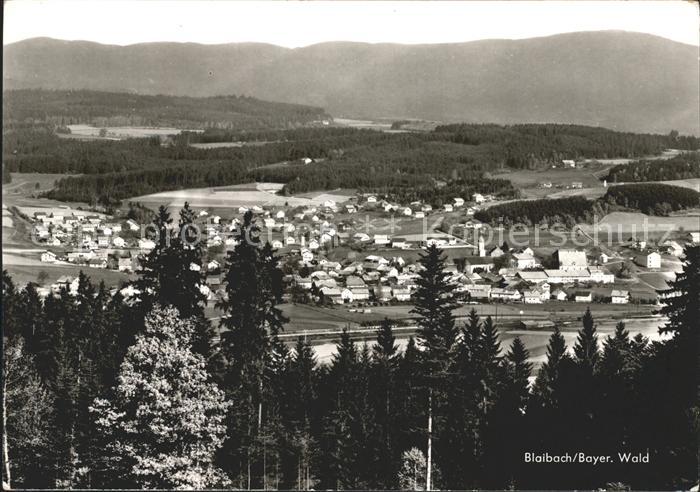Blaibach Panorama Bayerischer Wald