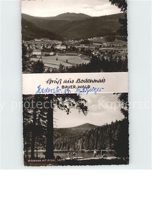 Bodenmais Panorama Arbersee mit Arber