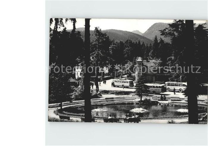 Borovetz Zentrum Teich