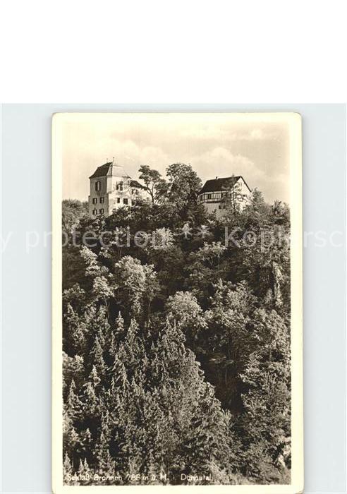 Fridingen Donau Schloss Bronnen