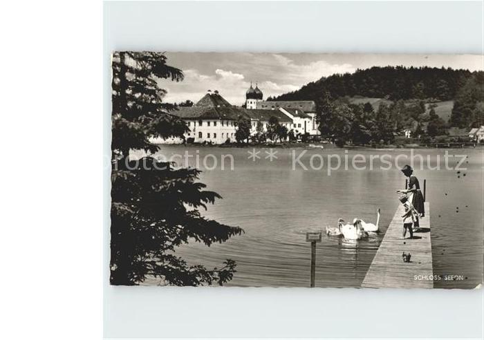 Seeon-Seebruck Schloss Steg Chiemsee Schwaene