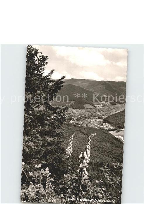 Wolfach Panorama Kinzigtal