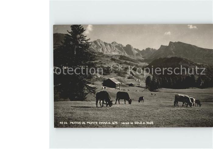 St Christina Motivo al Monte Pana