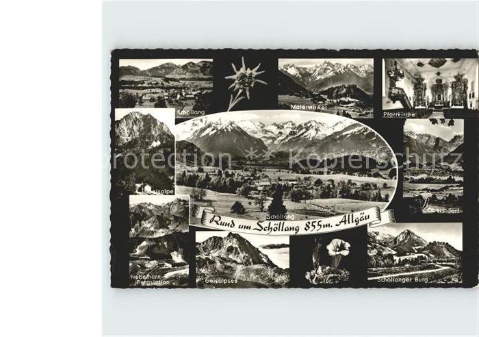 Schoellang und Umgebung Alpenpanorama Alpenflora