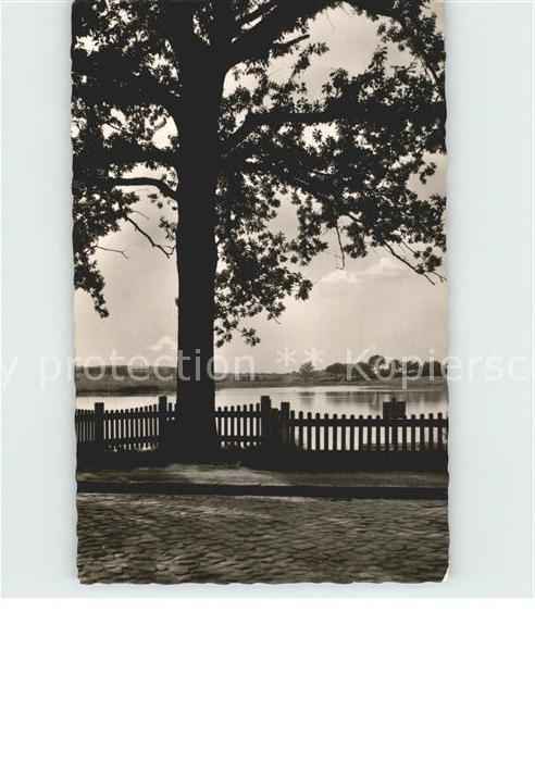 Cismar Am Muehlenteich