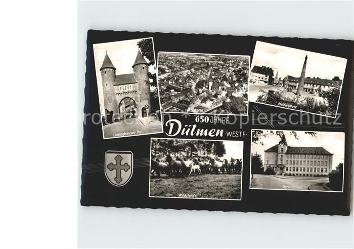 Duelmen 650 Jahre Luedinghauser Tor Luftbild Marienplatz Gymnasium Wildpferde