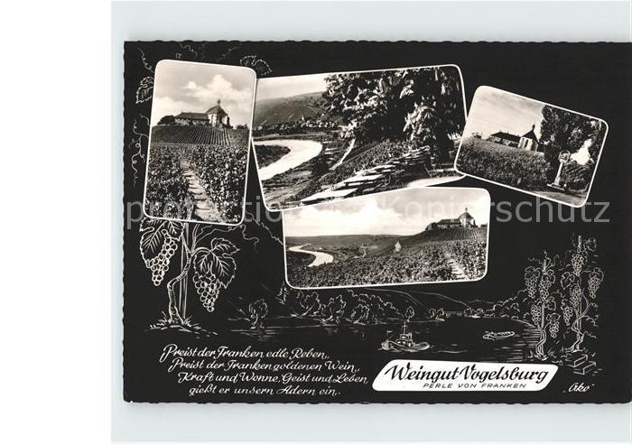 Vogelsburg Volkach Weingut Perle von Franken