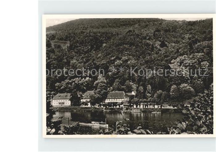 Heidelberg Neckar Parkcafe Hotel Haarlass Aussichtspunkt am Neckar und Bergwald
