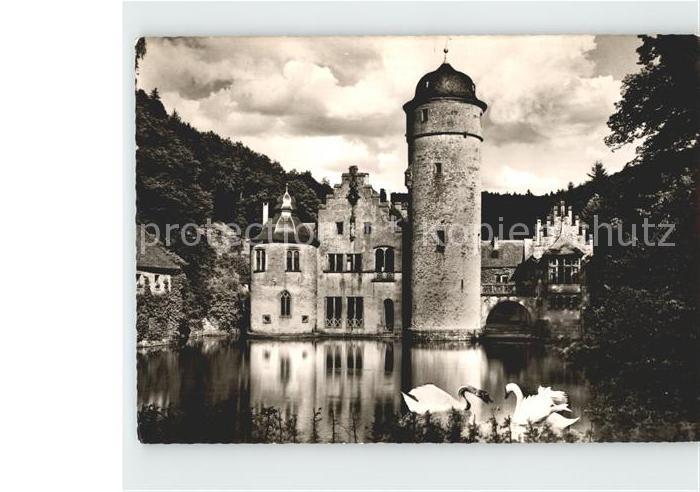 Mespelbrunn Schloss Schwanenteich