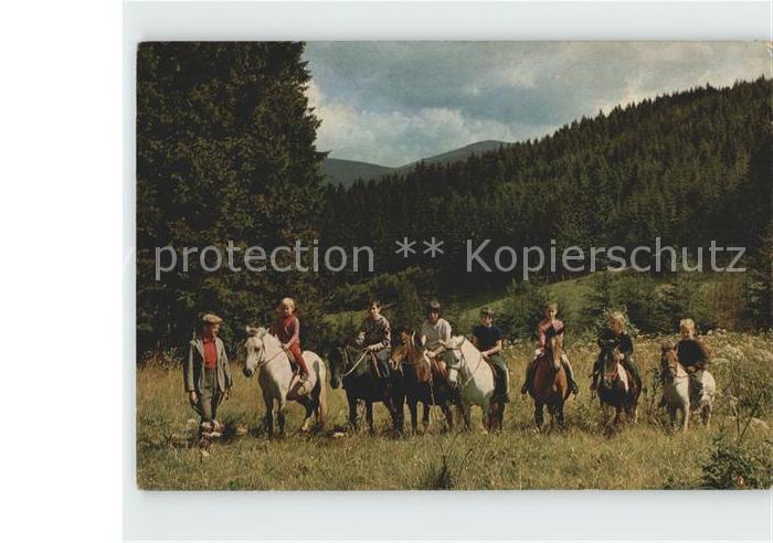 Rinsecke Ponyreiten im Hirschfreigehege Rothaargebirge