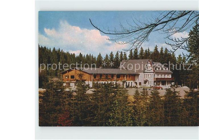 Oberhundem Waldhaus Hirschgehege