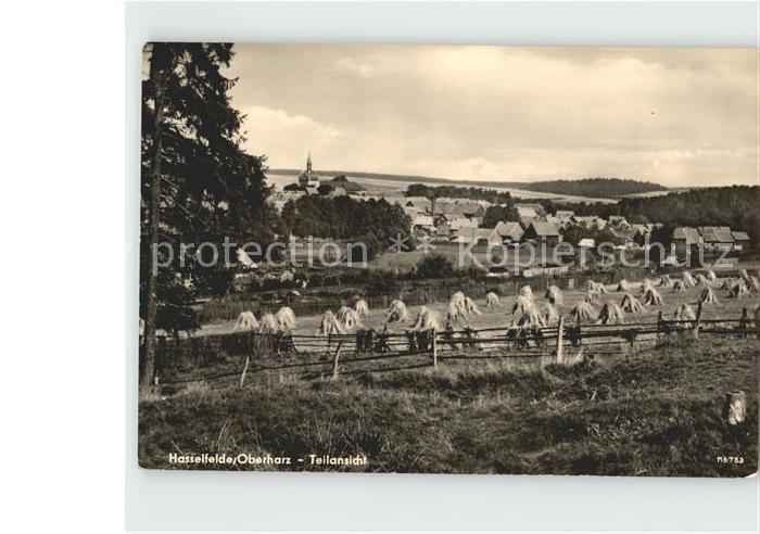Hasselfelde Teilansicht Felder Erntezeit