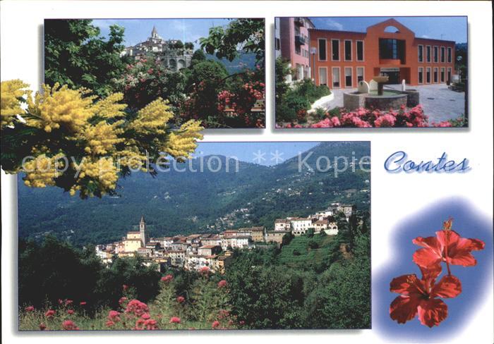 Contes Alpes-Maritimes Pittoresque village du pays nicois