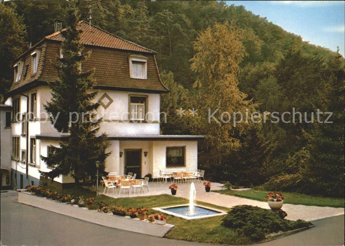 Schriesheim Talgasthof Scheid Terrasse Springbrunnen