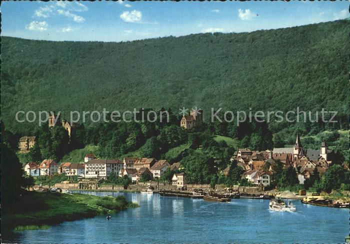 Neckarsteinach Neckarpartie Burg