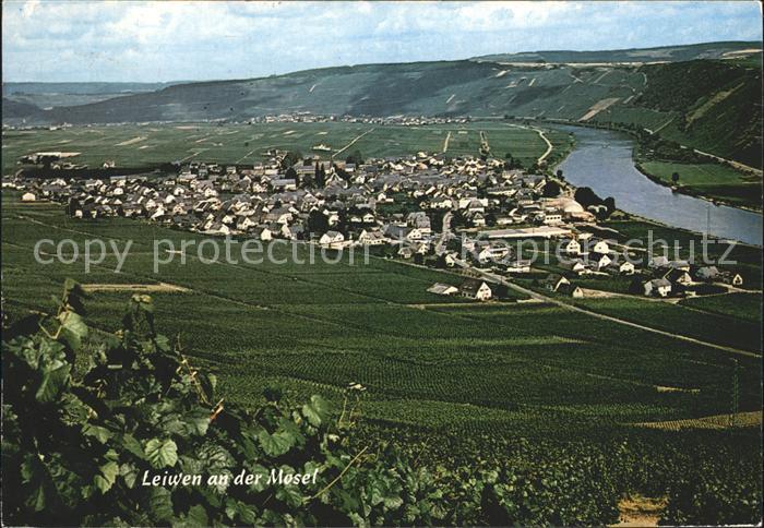 Leiwen Bernkastel-Wittlich Mosel Panorama