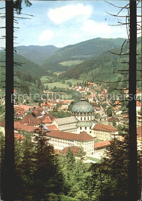 St Blasien Totalansicht mit Dom