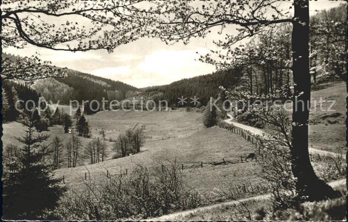 Willingen Sauerland Hoppecketal