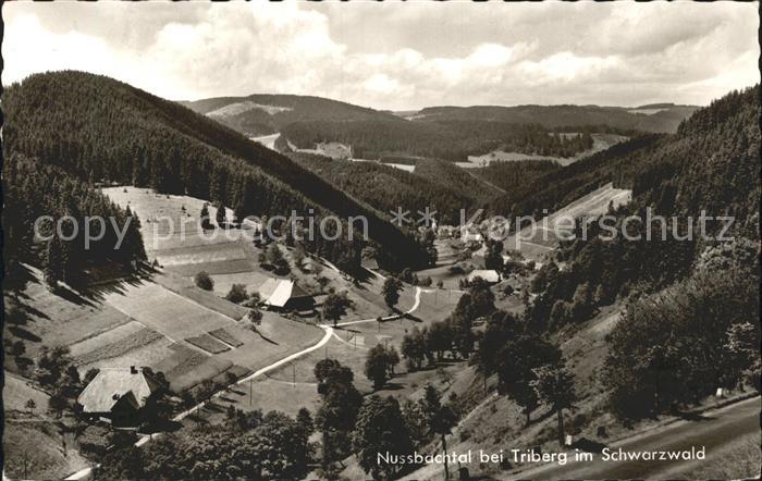 Triberg Schwarzwald Nussbachtal