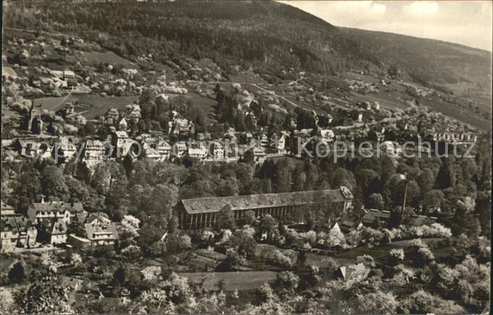 Bad Orb Fliegeraufnahme