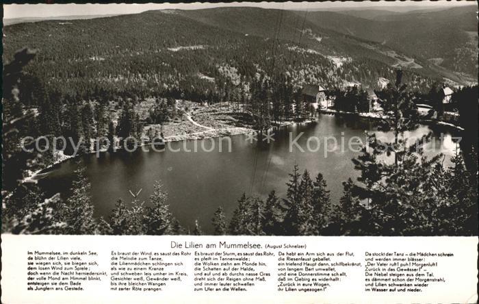 Mummelsee Lilien Berghotel